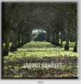 /album/photo-gallery-canvas-uri/decoratiuni-de-perete-canvas-lc-0922-jpg/